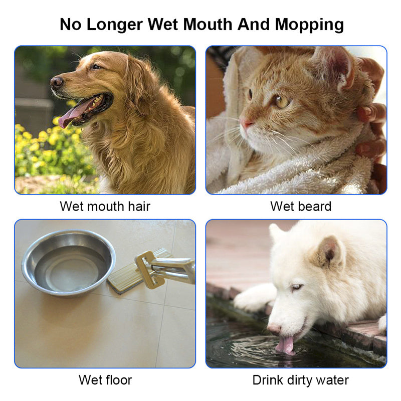 3-in-1 Electric Steam Brush for Cats and Dogs | Removes Loose Hair, Reduces Dander and Static