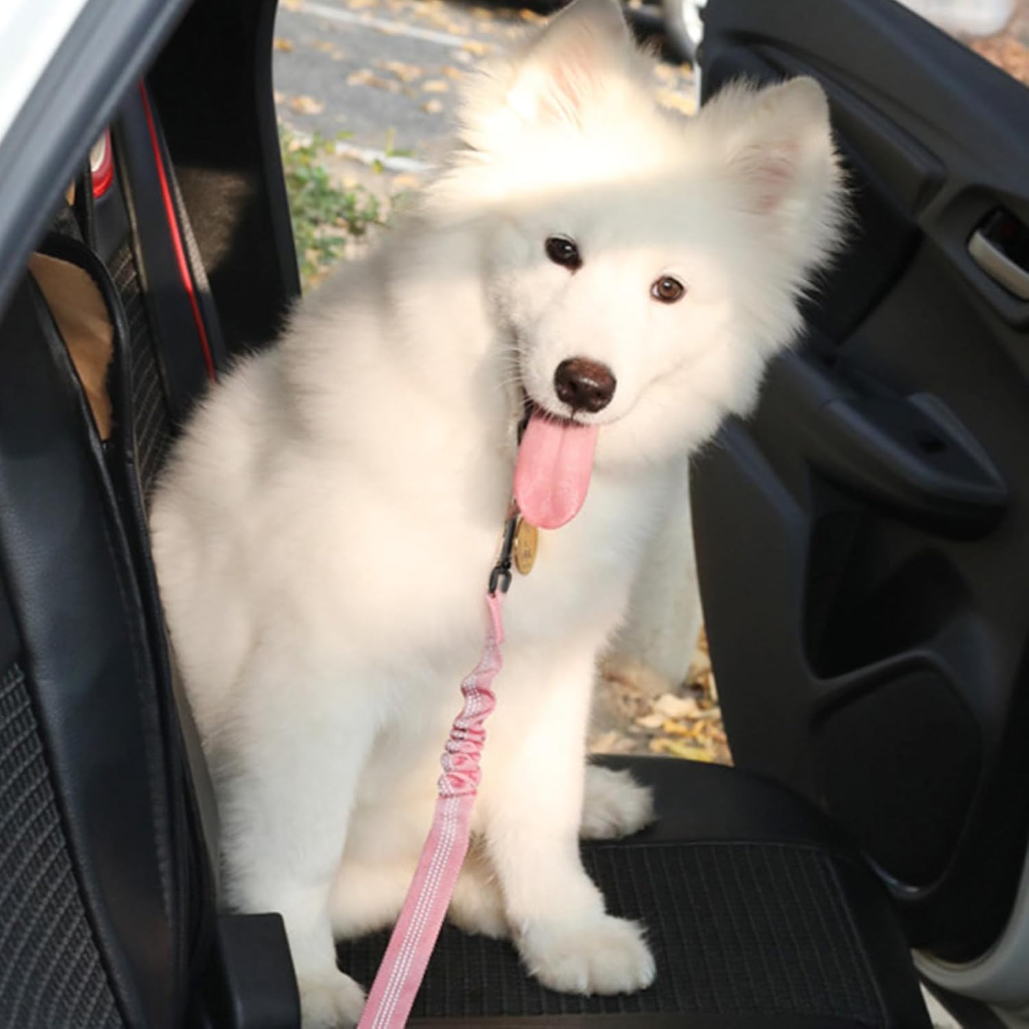 Dog Car Seat Belt Safety Leash For All Breeds & Vehicles