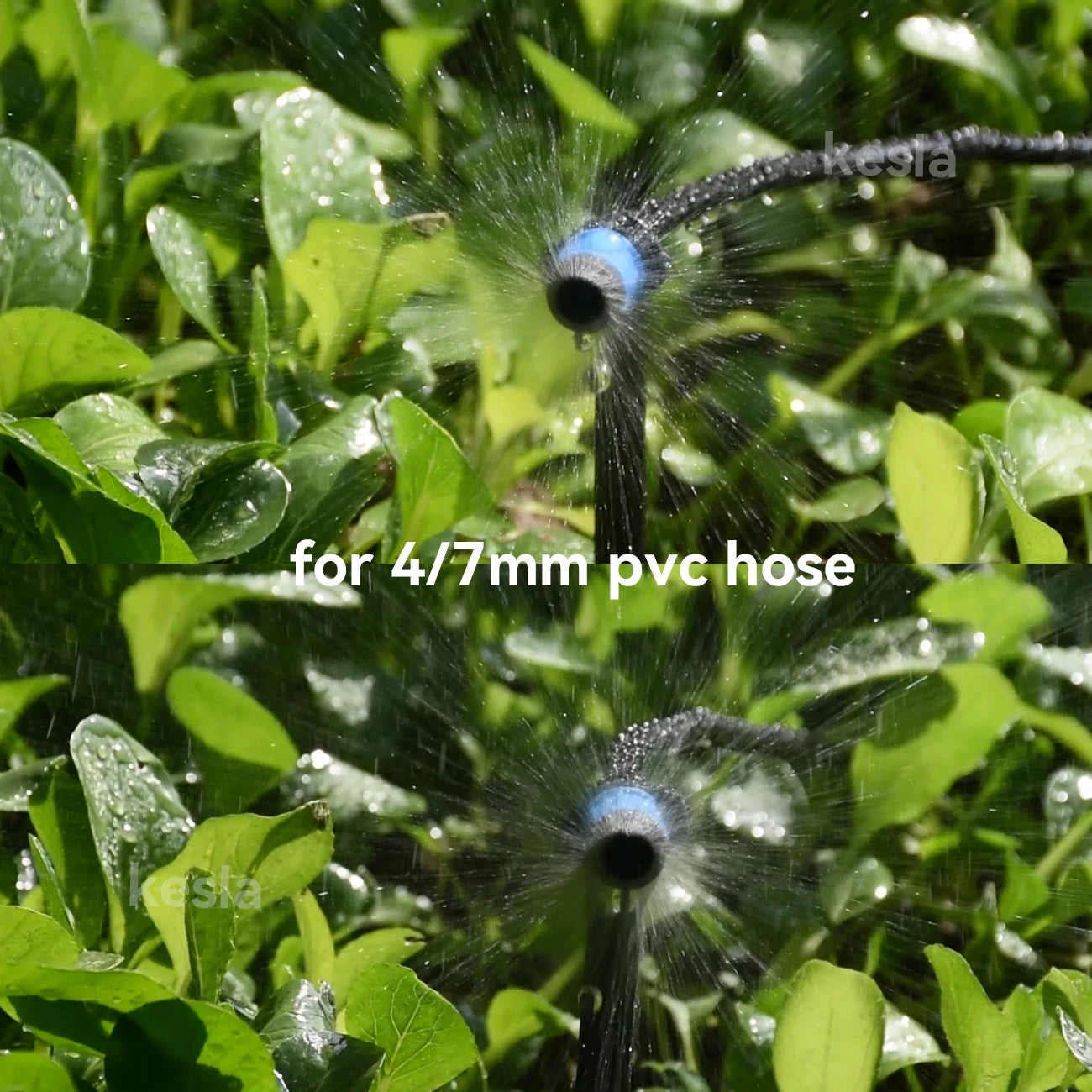 30-100pcs Adjustable Scattering Sprinklers